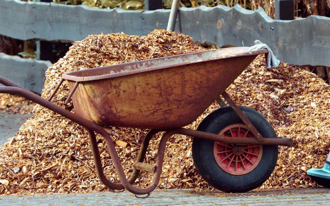 Tuin Ontruimen: 10 Praktische Tips om je Tuin Snel en Netjes Op te Ruimen