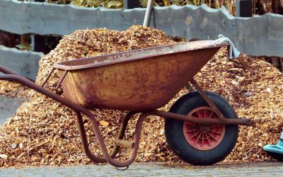 Tuin Ontruimen: 10 Praktische Tips om je Tuin Snel en Netjes Op te Ruimen